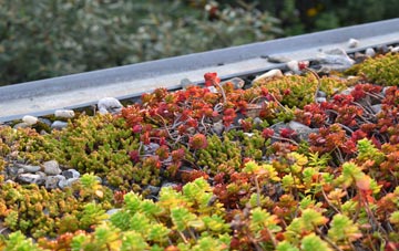 the cost of Sour Nook green roof installation